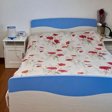 Apartment Carmen2 *